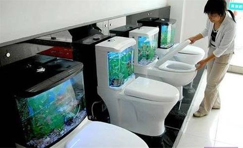 عکس هایی از سوژه های جالب از شکار لحظه ها