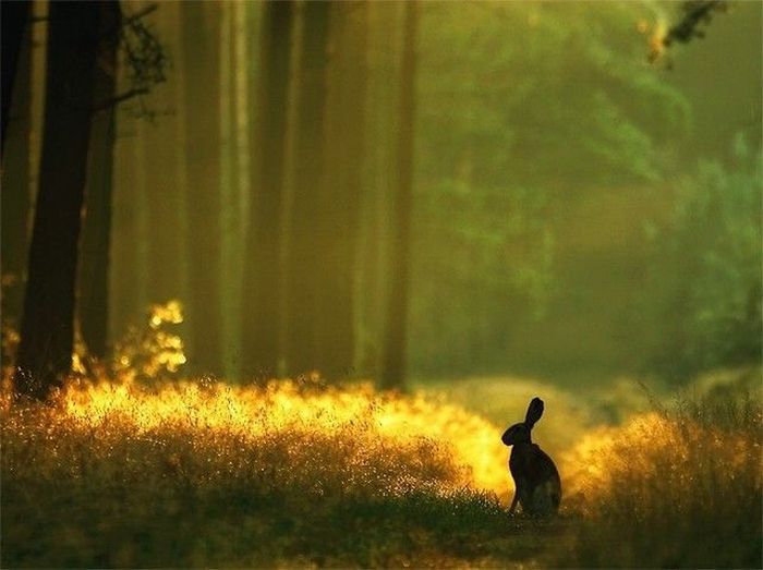 عکسهای جالب و دیدنی چهار شنبه 17 فروردین 1390