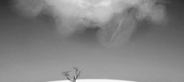 تصاویری از هنرنمایی بسیار زیبا و دیدنی با دود