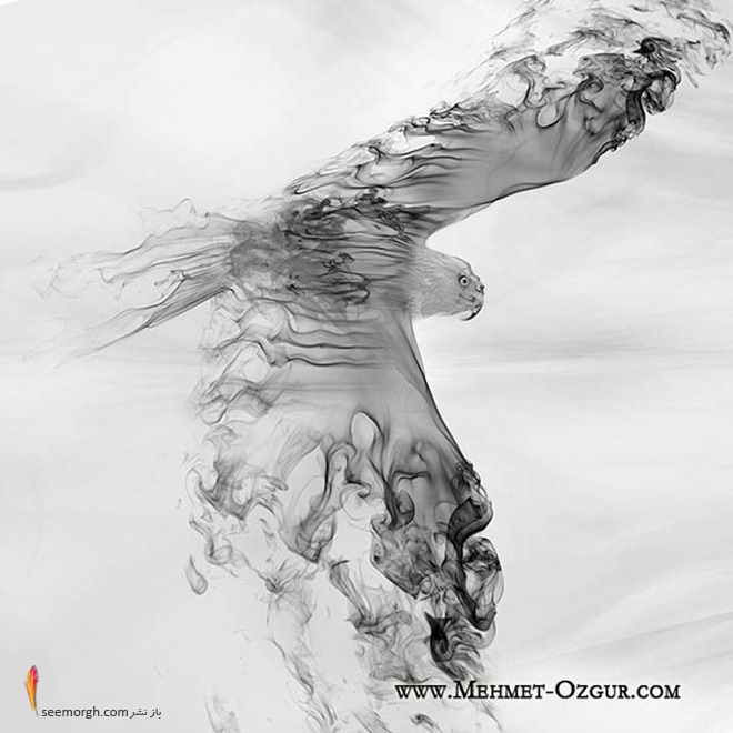 تصاویری از هنرنمایی بسیار زیبا و دیدنی با دود