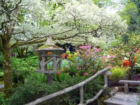 عکس هایی دیدنی از باشکوه ترین باغ دنیا