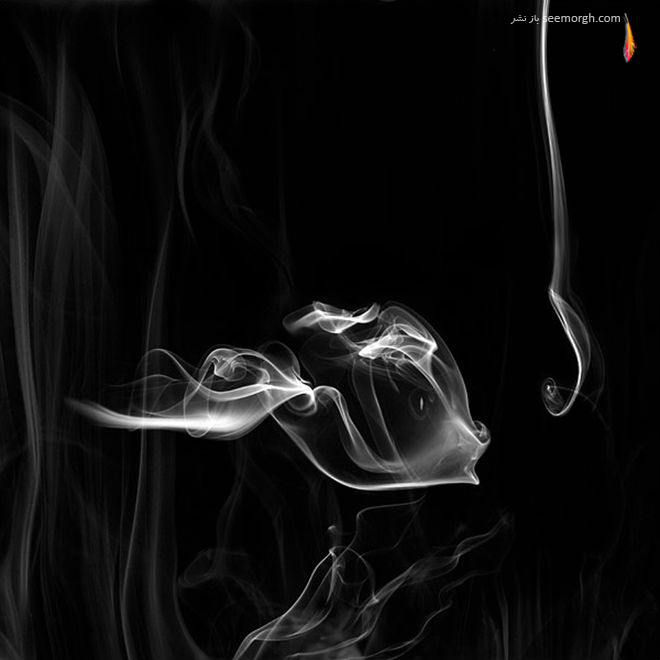 تصاویری از هنرنمایی بسیار زیبا و دیدنی با دود