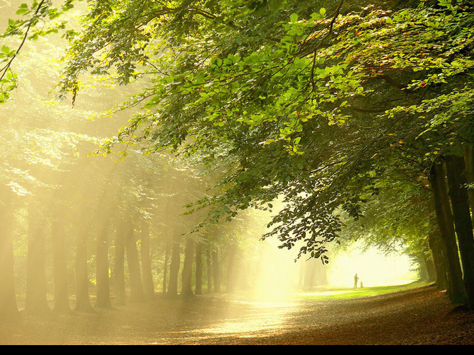 عکس های  بسیار زیبا از طبیعت اثر Lars-Van-De-Goor