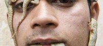 ارتباط جالب و عاشقانه پسری با مارمولك ها + عكس