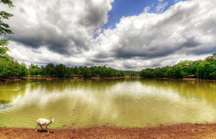 عکس هایی فوق العاده زیبا با تکنیک HDR عکس هایی فوق العاده زیبا با تکنیک HDR