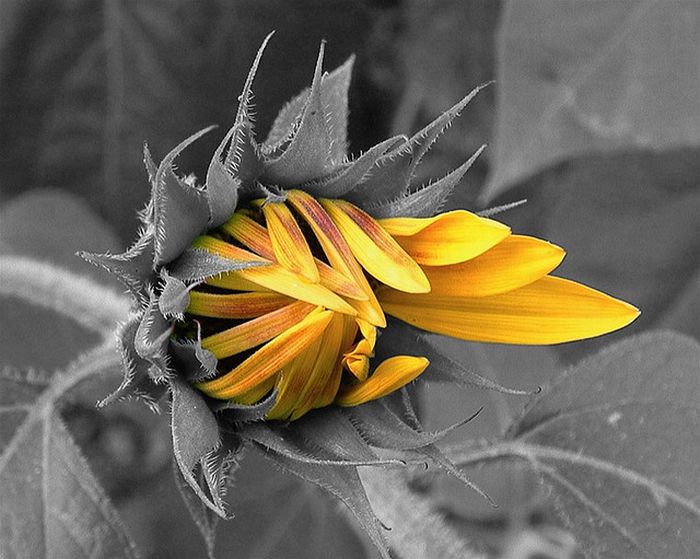 عکسهای دیدنی سه شنبه 27 اردیبهشت 1390