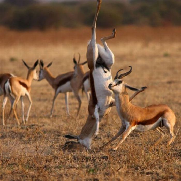 عکسهای جالب و دیدنی یکشنبه 8 خرداد 1390