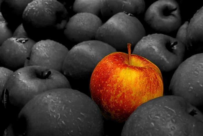 عکسهای دیدنی سه شنبه 27 اردیبهشت 1390