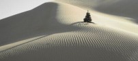 عکسهای دیدنی دوشنبه : 1 شهریور 1389