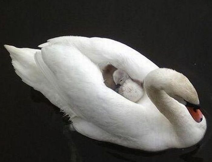  عکسهای دیدنی یکشنبه : 31 مرداد 1389 