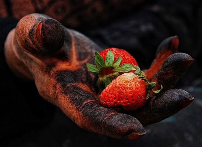 عکسهای دیدنی چهار شنبه : 3 شهریور 1389