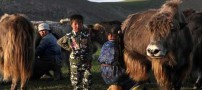 ده عكس تماشایی از جهان