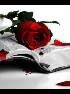 عکسهایی برای موبایل با موضوعات گلها و کودکان
