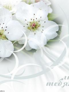 عکسهایی برای موبایل با موضوعات گلها و کودکان