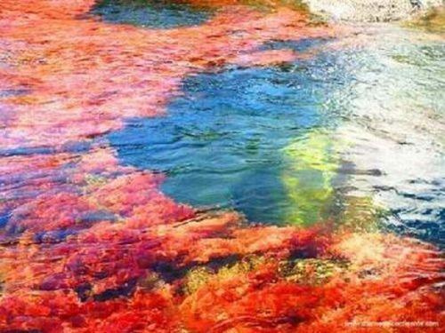 عکس هایی از زیباترین دریاچه جهان