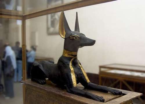 عکس هایی از موزه مصر باستان (فراعنه مصر باستان)
