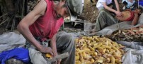 مرد بنزینی را بشناسید (کارت سوخت کم داره)+عکس