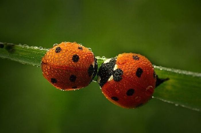 عکس های جالب و دیدنی جمعه 24 تیر 1390