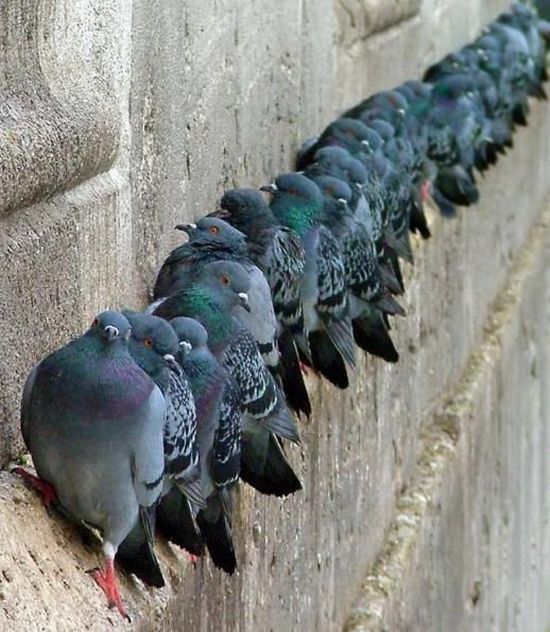عکس های جالب و دیدنی سه شنبه 4 مرداد 1390