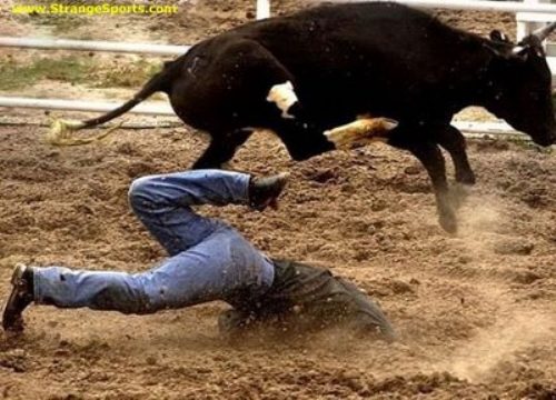 عکس های جالب و دیدنی سه شنبه 11 مرداد 1390