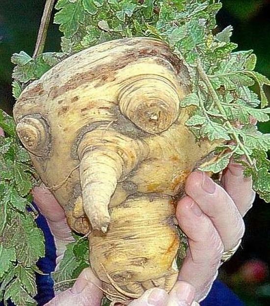 عکس های جالب و دیدنی دوشنبه 10 مرداد 1390