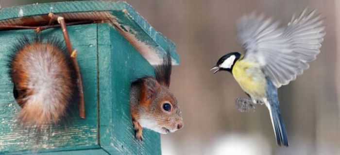 عکسهای دیدنی دوشنبه : 22 شهریور 1389