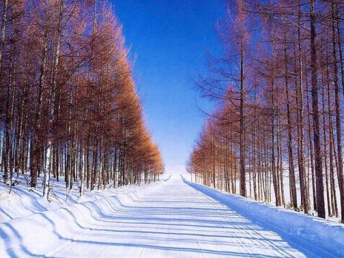 عکسهای دیدنی سه شنبه : 9 شهریور 1389