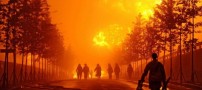 عکسهای دیدنی چهارشنبه : 17 شهریور 1389