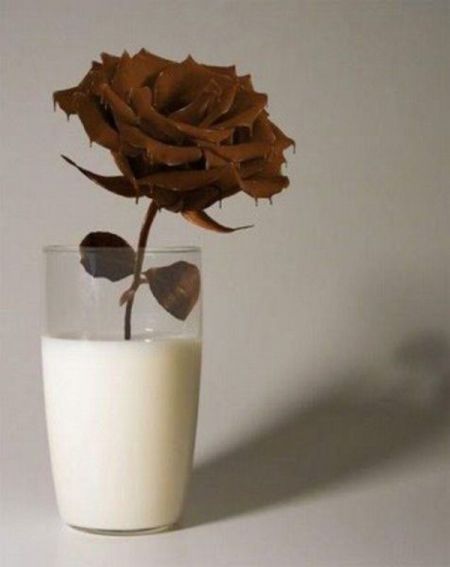 عکسهای دیدنی سه شنبه : 9 شهریور 1389