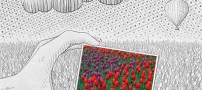 عکسهایی از تلفیق هنر عكاسی و طراحی با مداد
