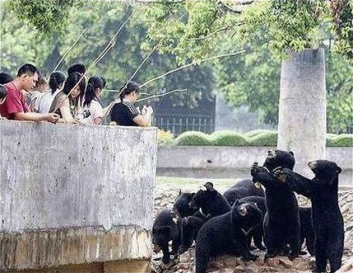  عکسهای دیدنی چهارشنبه : 10 شهریور 1389