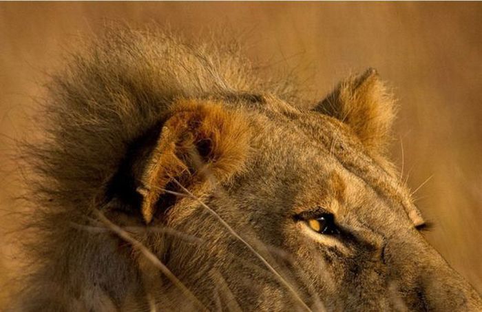 عکسهای دیدنی دوشنبه : 22 شهریور 1389