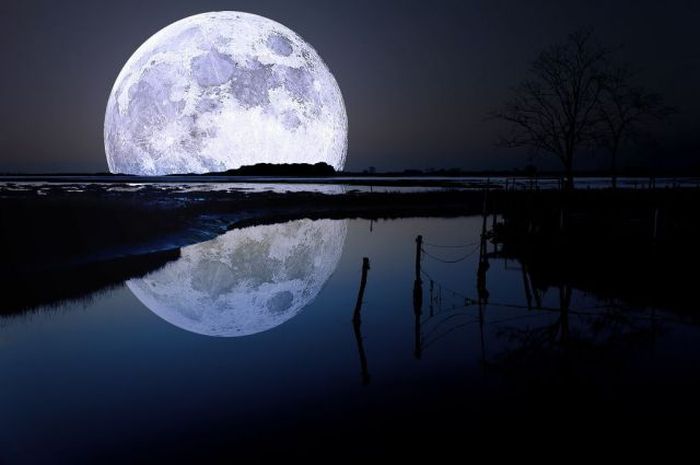 عکس های جالب و دیدنی پنجشنبه 27 مرداد 1390