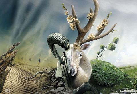 عکس های جالب و دیدنی جمعه 28 مرداد 1390