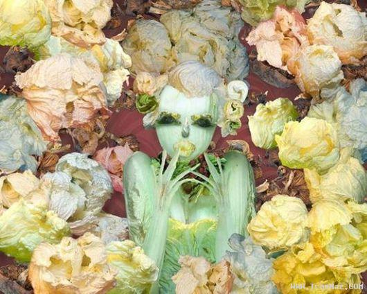 عكسهای دیدنی و جالب از خلاقیت های هنری با كاهو