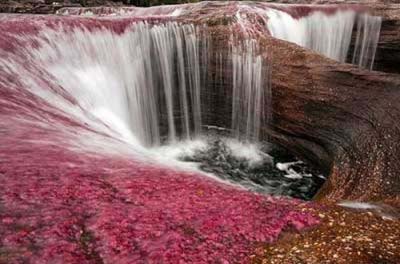 عکس هایی بی نظیر از رنگارنگ ترین رودخانه در جهان