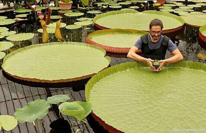 عکس های جالب و دیدنی پنجشنبه 17 شهریور 1390