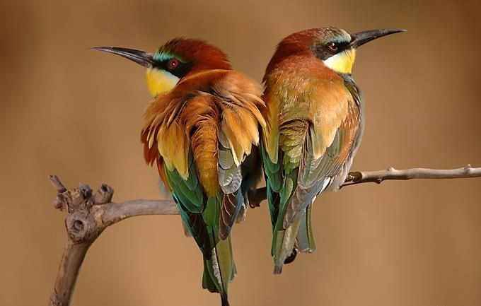 عکس های جالب و دیدنی پنج شنبه 10 شهریور 1390