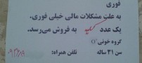 عکسی باورنکردنی از تفاوت بالای شهر و پایین شهر