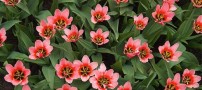 عکس هایی بسیار دیدنی از زیباترین شاهکار های دنیا