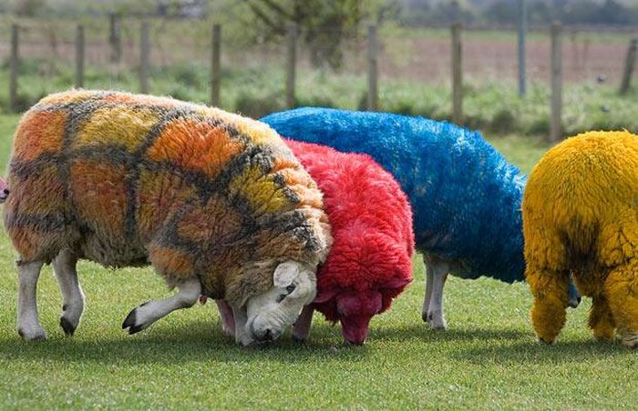 عکس های جالب و دیدنی پنجشنبه 24 شهریور 1390