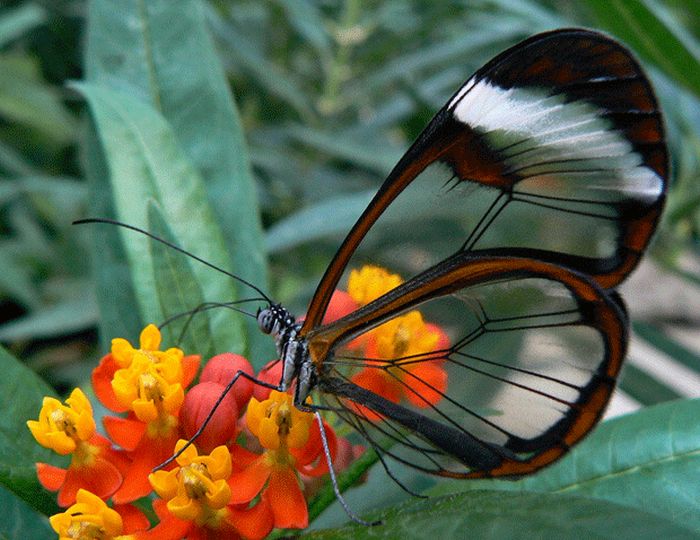 عکس های جالب و دیدنی جمعه 8 مهر 1390