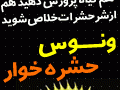 آیا می خواهید یک گیاه زیبای گوشت خوار داشته باشید؟!