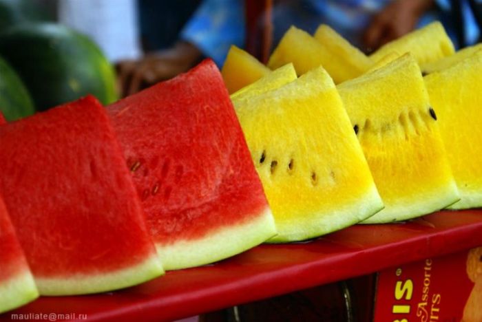 عکس های جالب و دیدنی پنجشنبه 14 مهر 1390