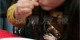 عکس هایی چندش آور از مسابقه کرم خوری در چین!!