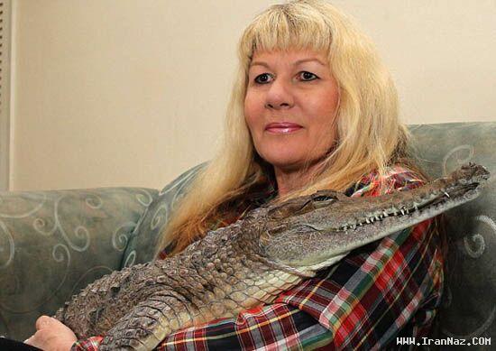 زن عاشق، تمساح را به شوهر خود ترجیح داد +عکس