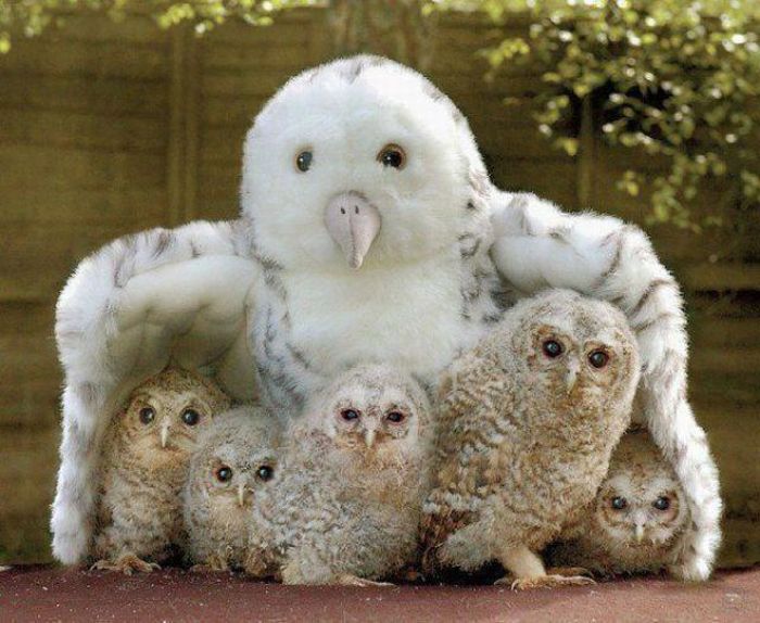عکس های جالب و دیدنی پنجشنبه 5 آبان 1390