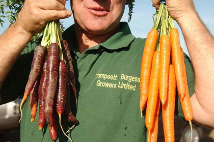 عکس های جالب و دیدنی ازمیوه های عجیب و غریب