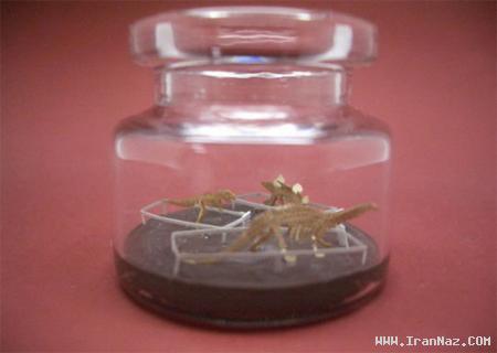 عکس های جالب و دیدنی چهارشنبه 9 آذر 1390