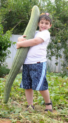 عکس های جالب و دیدنی ازمیوه های عجیب و غریب
